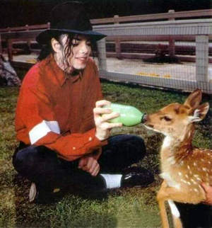 michael-animal2a.jpg